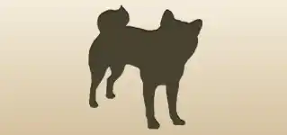 Dog silhouette