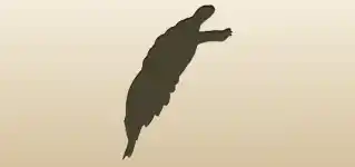 Turtle silhouette