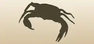 Crab silhouette