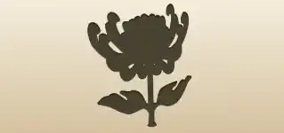 Chrysanthemum silhouette