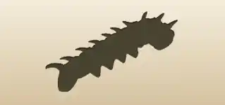 Caterpillar silhouette
