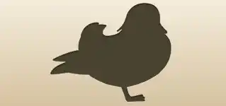 Mandarin Duck silhouette