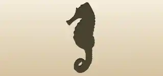 Seahorse silhouette