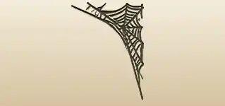 Spider Web