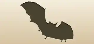Bat