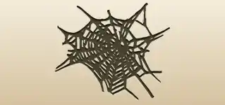 Spider Web