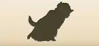 Wolf silhouette