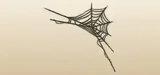 Spider Web