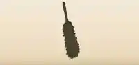 Feather Duster