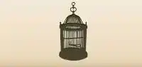 Birdcage silhouette