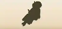 Wolf silhouette