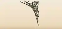 Spider Web