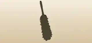 Feather Duster