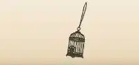Birdcage