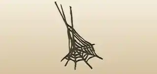 Spider Web