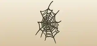 Spider Web