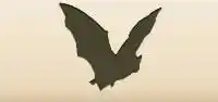 Bat