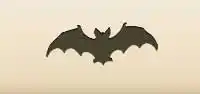 Bat
