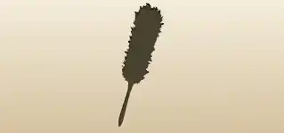 Feather Duster