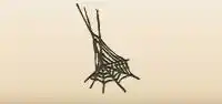 Spider Web
