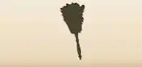 Feather Duster