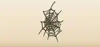 Spider Web