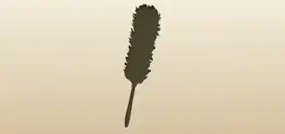 Feather Duster
