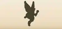 Fairy