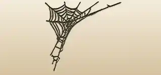 Spider Web