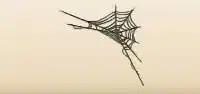 Spider Web