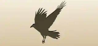 Crow silhouette