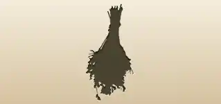 Dried Flowers silhouette