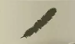 鳥の羽のシルエット