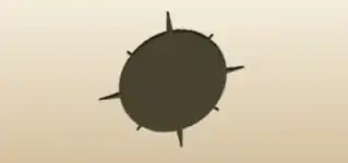 Wind Rose silhouette