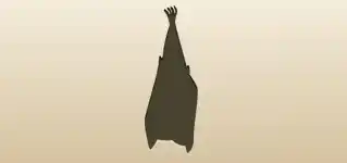 Bat silhouette