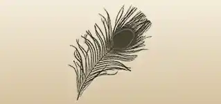 Feather silhouette
