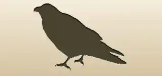 Crow silhouette