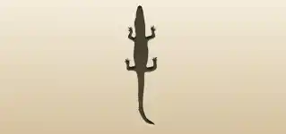 Crocodile silhouette