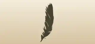 Feather silhouette