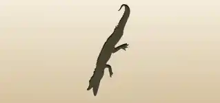 Crocodile silhouette