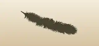 Feather silhouette