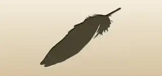 Feather silhouette