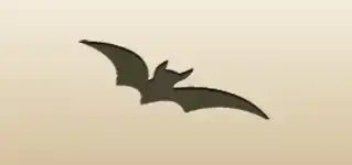 Bat silhouette