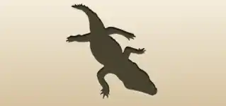 Crocodile silhouette