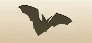 Bat silhouette