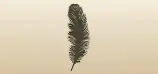 Feather silhouette