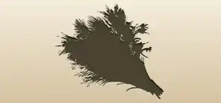 Dried Flowers silhouette