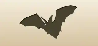 Bat silhouette