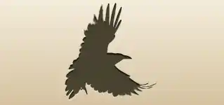 Crow silhouette
