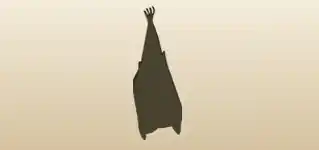 Bat silhouette